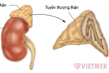 20190723 061807 036234 tuyen thuong than.max