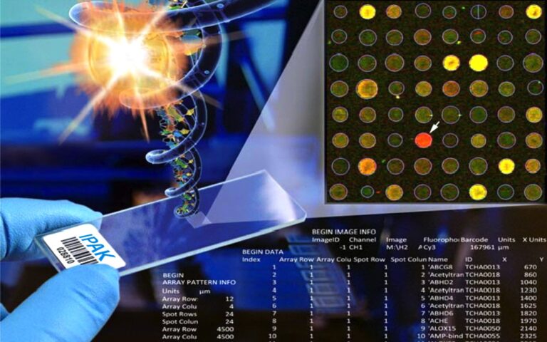 20201223 153005 892058 Microarray slide.max 1800x1800