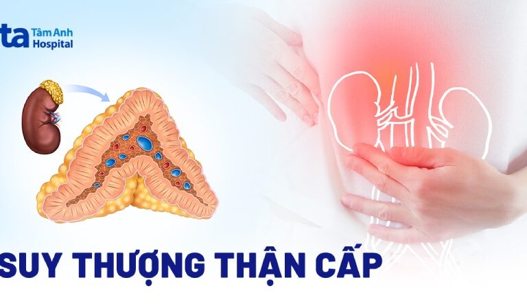 Doc vi thong tin Suy thuong than cap tinh Nguyen