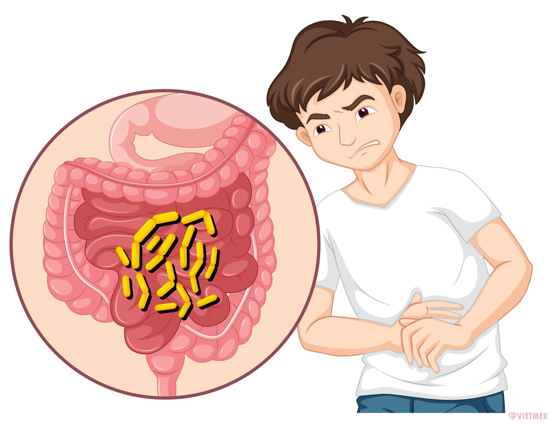 Mật ong có khả năng kháng khuẩn, chống lại vi khuẩn Helicobacter pylori