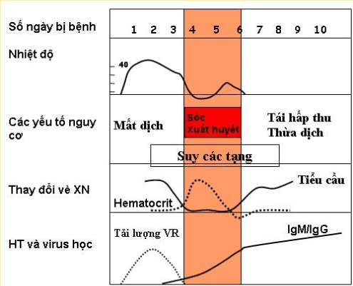 các giai đoạn của sốt xuất huyết