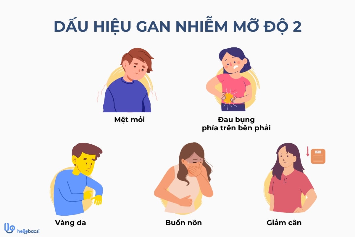 các dấu hiệu gan nhiễm mỡ độ 2