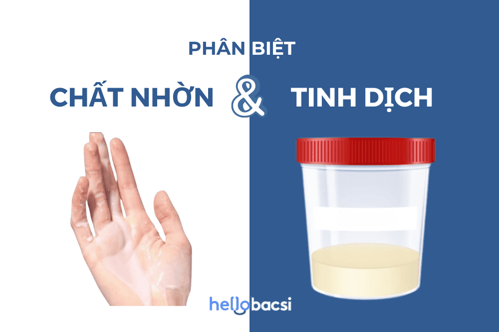 Chất nhờn và tinh dịch khác nhau như thế nào?