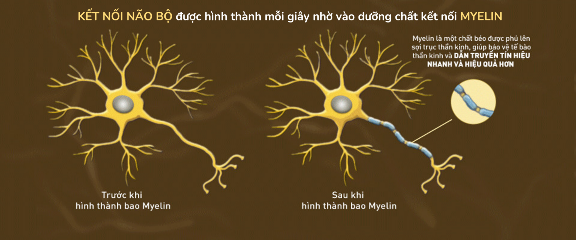 Bí quyết chăm sóc dinh dưỡng