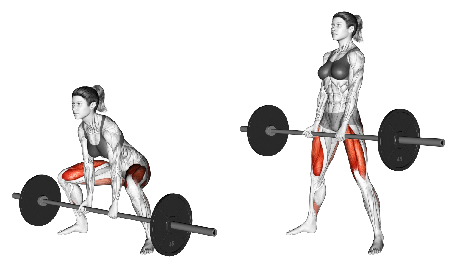 Sumo deadlift là bài tập dành cho cả nam và nữ