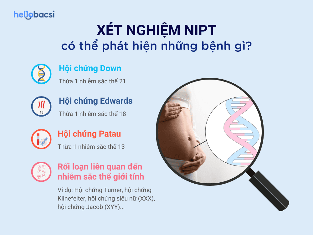 Xét nghiệm NIPT giúp phát hiện các bất thường nhiễm sắc thể ở thai nhi